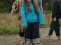 perehod-33
